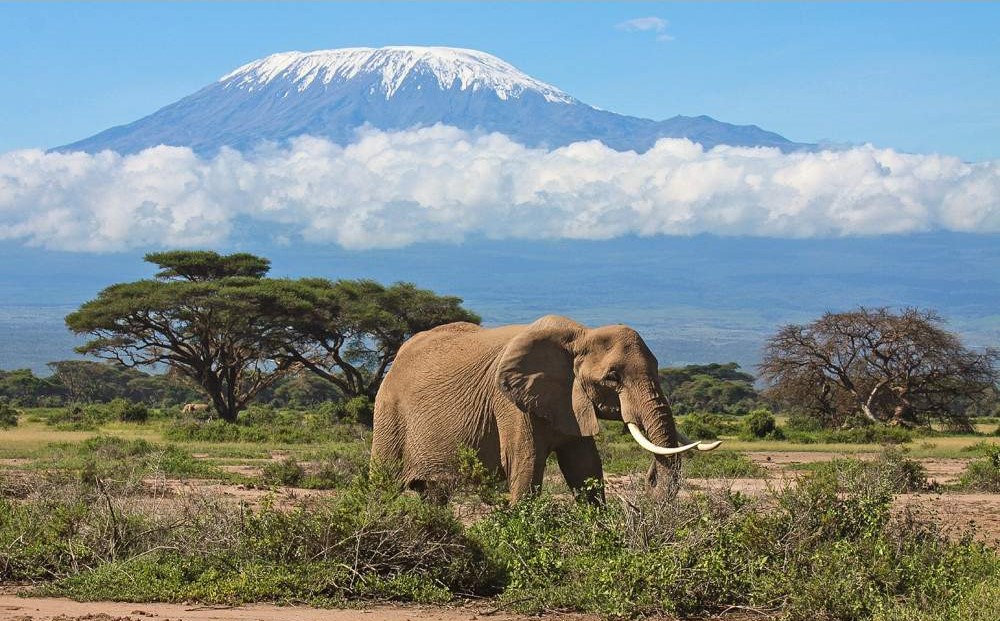 3 Days 2 Nights Amboseli Safari