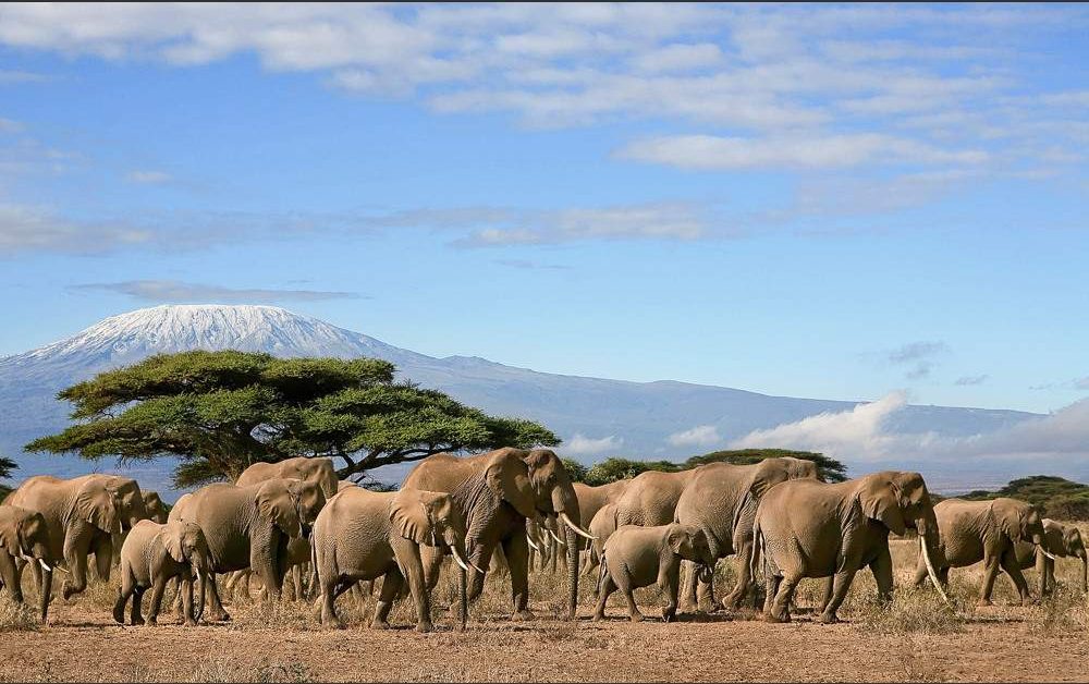 2 Days Amboseli National Park