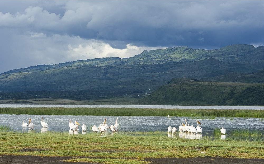 Lake Elementaita & Kariandusi Trip