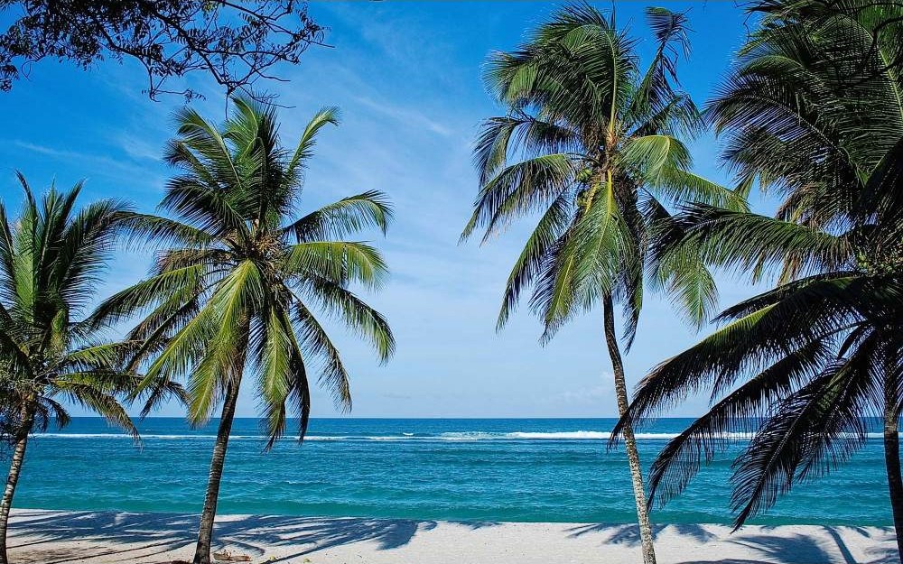 3 Days Mombasa Beach Holiday