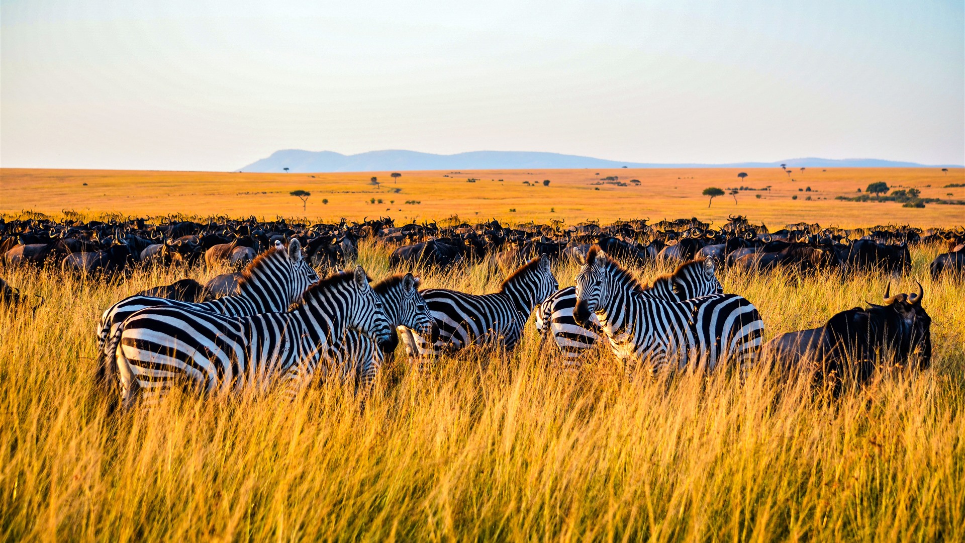 Giraffe Hills Camp